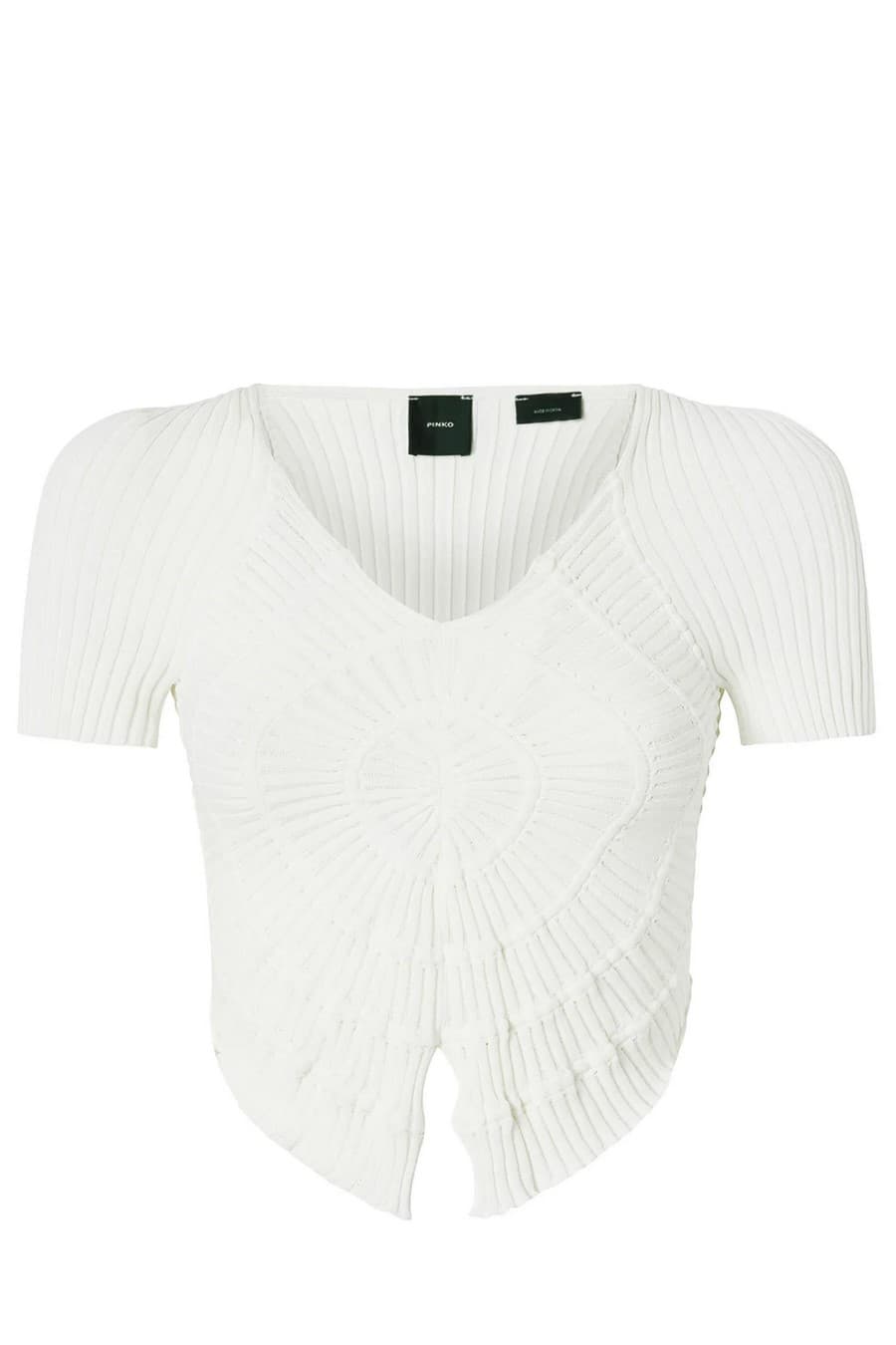 Pinko Women Top