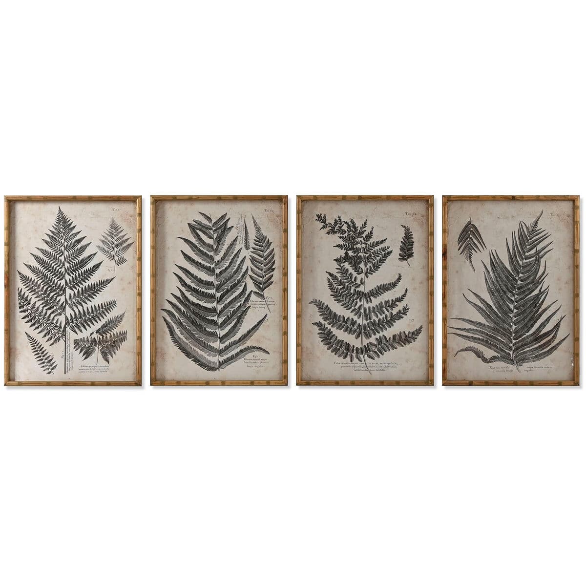 Quadro Home ESPRIT Cristallo Abete 50 x 3 x 70 cm 50 x 2,5 x 70 cm