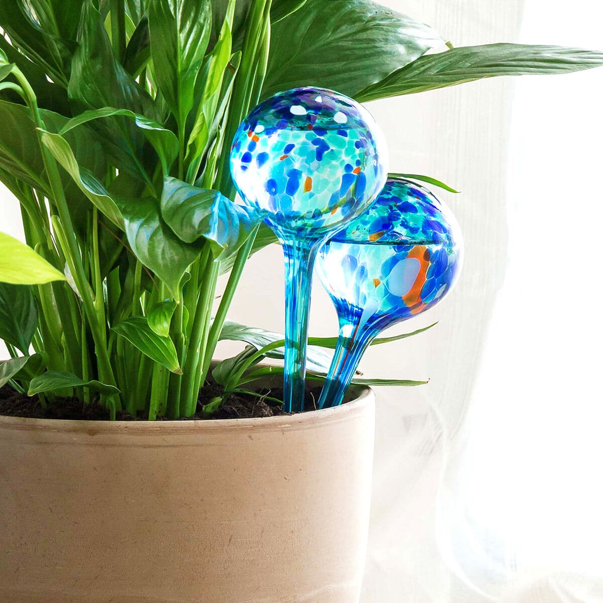 Palline di Irrigazione Automatica Aqua·Loon InnovaGoods 2 Un