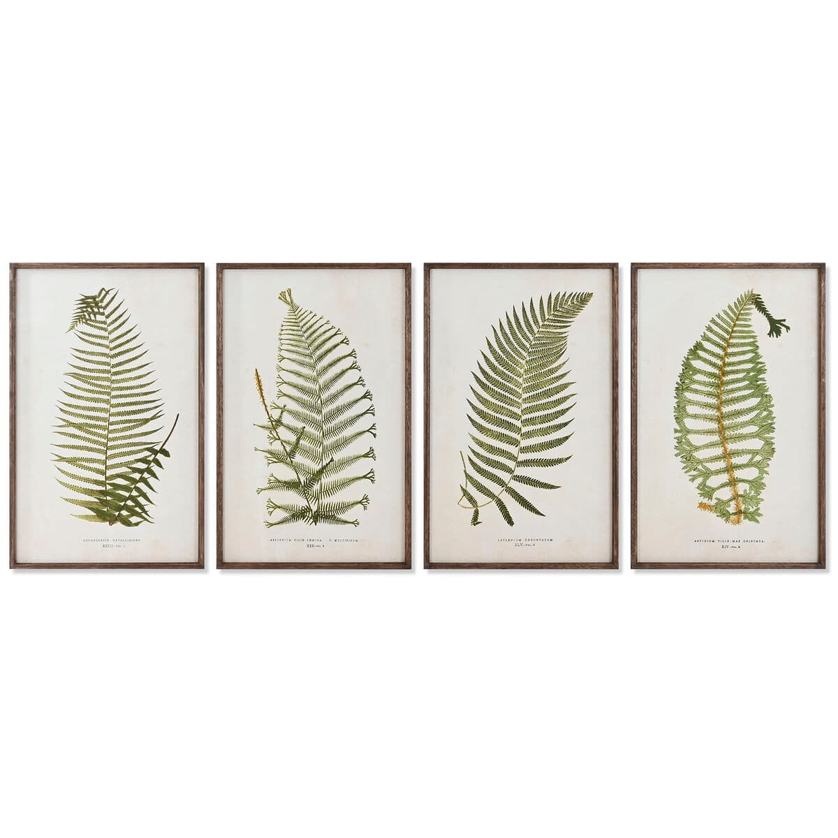 Quadro ESPRIT abete cristallo 45 x 2,5 x 70 cm