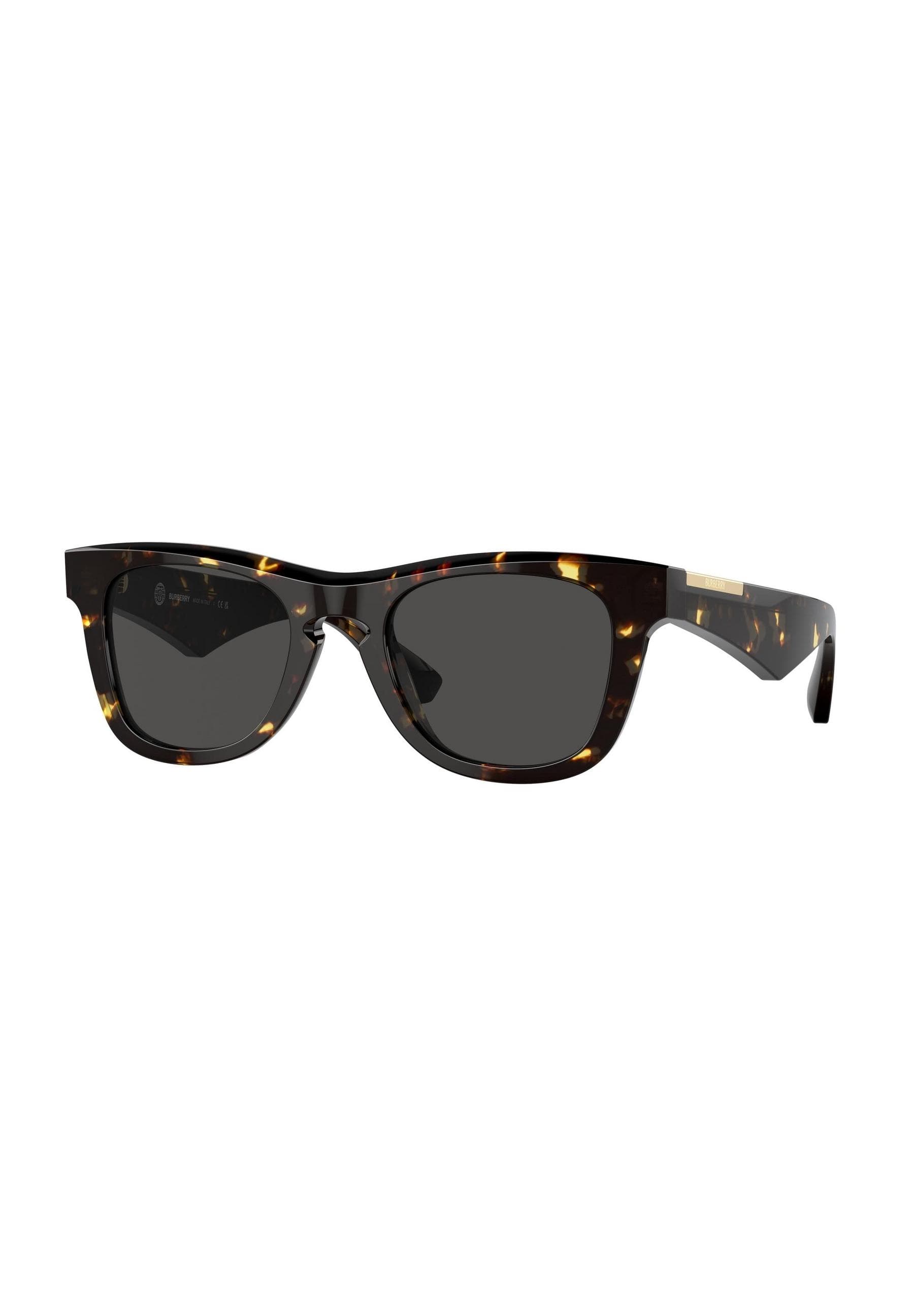Burberry Men Sunglasses