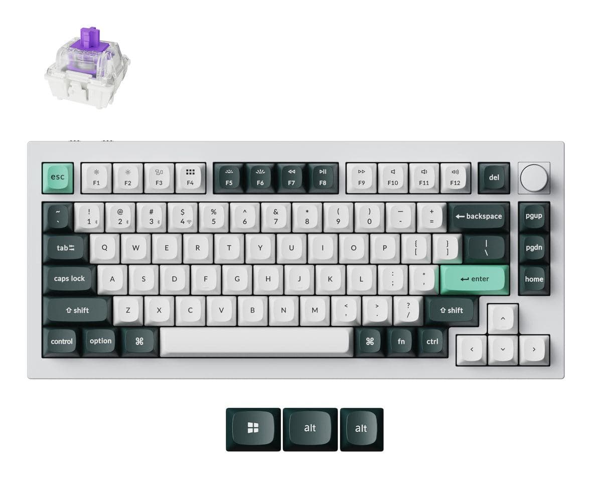 LT-B51000793