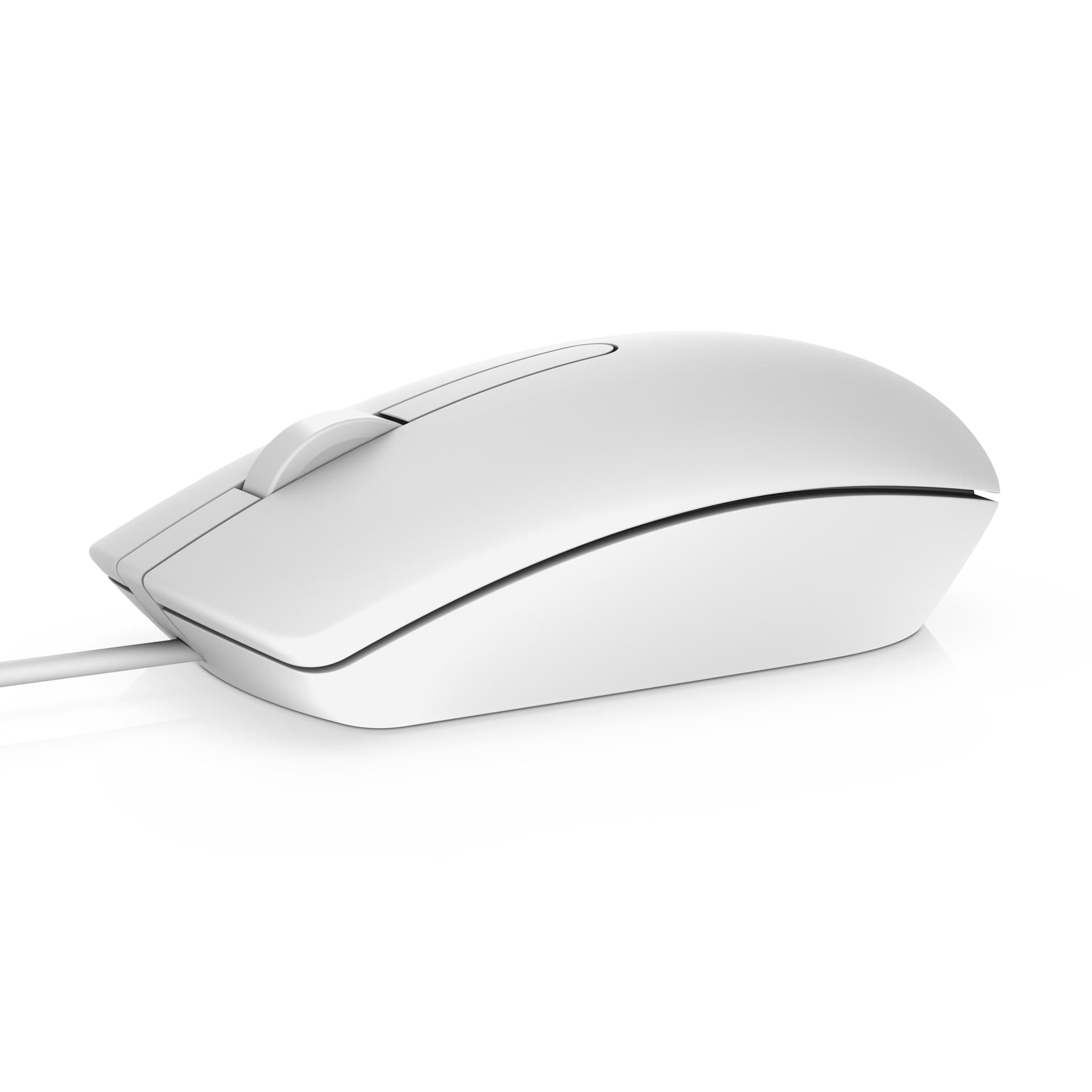 DELL MS116 mouse Ambidestro USB tipo A Ottico 1000 DPI (MS116 mouse Ambidextrous USB - Type-A Optical 1000 DPI - Warranty: 12M)