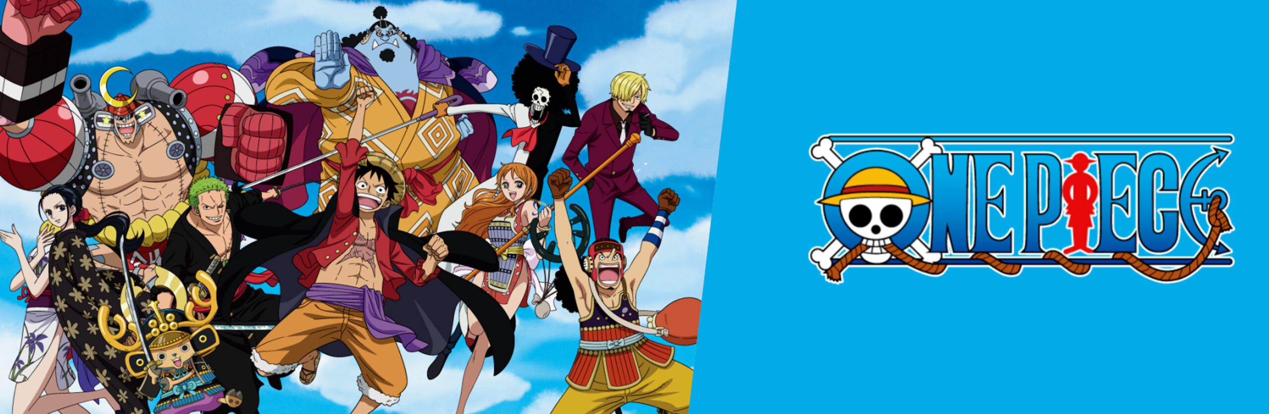 one_piece_banner